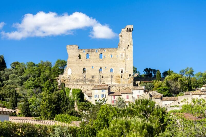 From Aix-en-Provence: Châteauneuf-du-Pape Wineries Day Trip - Visit to 14th-Century Pope Cellars