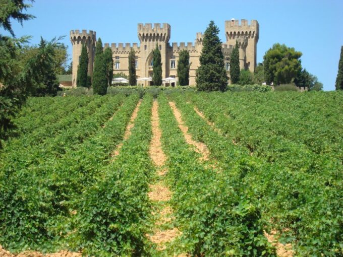 From Aix-en-Provence: Châteauneuf-du-Pape Wineries Day Trip - Winemaking Process Insights