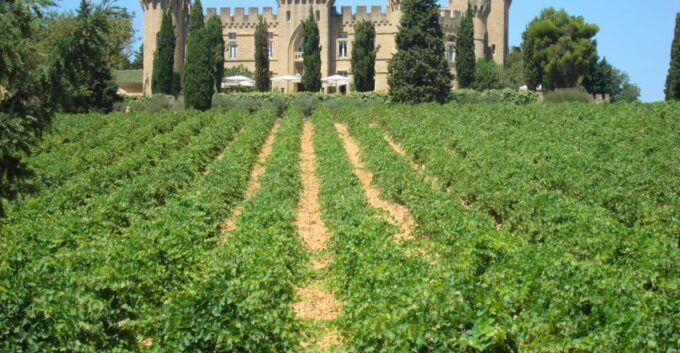 From Aix-en-Provence: Châteauneuf-du-Pape Wineries Day Trip - Booking Information and Policies