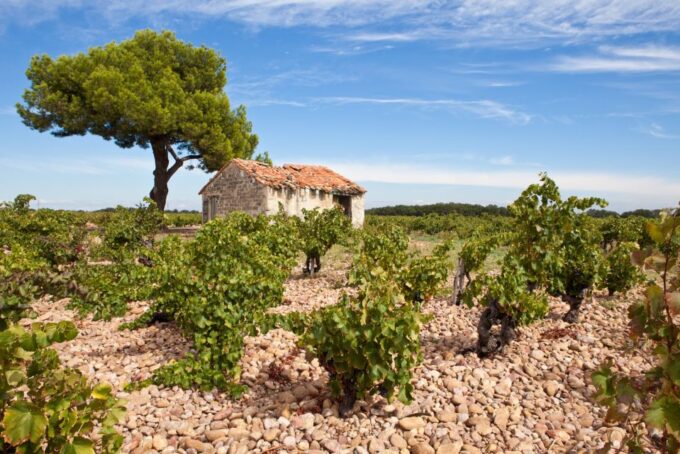 From Aix-en-Provence: Châteauneuf-du-Pape Wineries Day Trip - Frequently Asked Questions