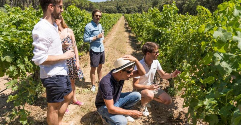 From Aix-en-Provence: Half-day Wine Tour Cezanne Countryside - Itinerary Highlights
