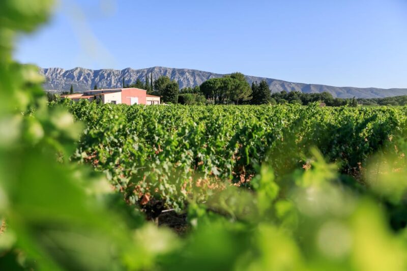 From Aix En Provence: Half-Day Wine Tour in Provence - Inclusions