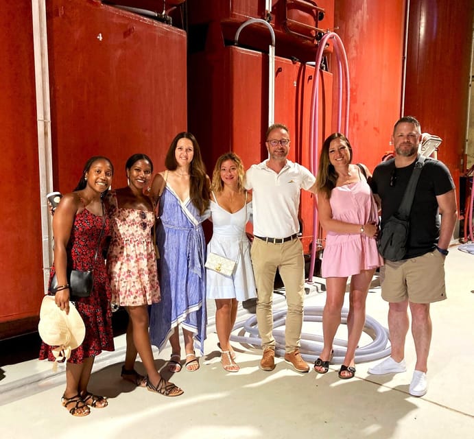 From Aix En Provence: Half-Day Wine Tour in Provence - What to Bring and Important Information