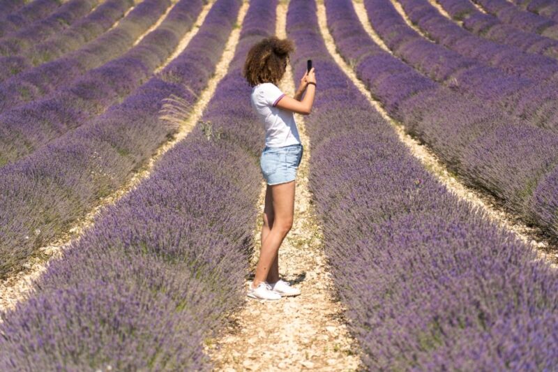 From Aix-en-Provence: Lavender Half Day Morning Tour - Key Points