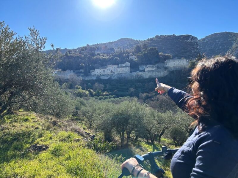 From Aix-en-Provence: Luberon Region E-Bike Full-Day Tour - Key Points