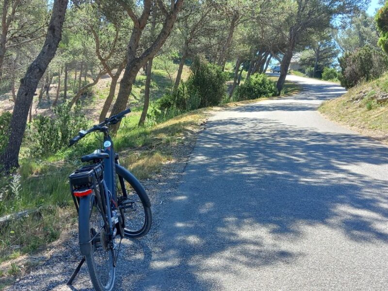 From Aix-en-Provence: Luberon Region E-Bike Full-Day Tour - Visiting Bonnieux