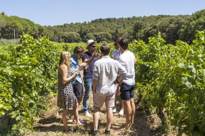 From Aix-En-Provence: Luberon & Vineyards Tour With Tastings - Important Tour Information