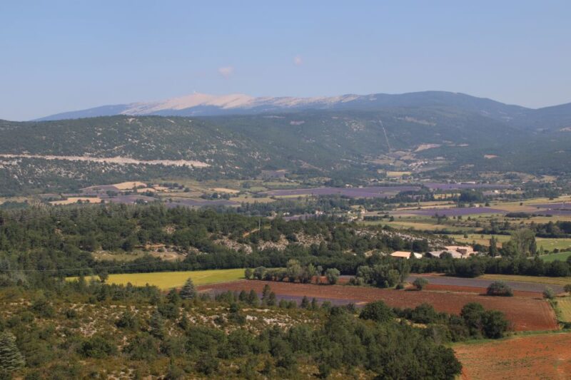 From Aix En Provence: Private Tour of Sault in Van - Lavender Fields in Sault