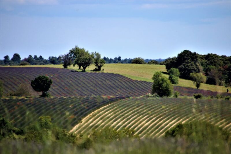 From Aix En Provence: Private Tour of Sault in Van - Saignon Hilltop Village