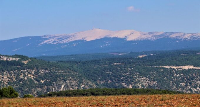 From Aix En Provence: Private Tour of Sault in Van - Exploring the Highlights