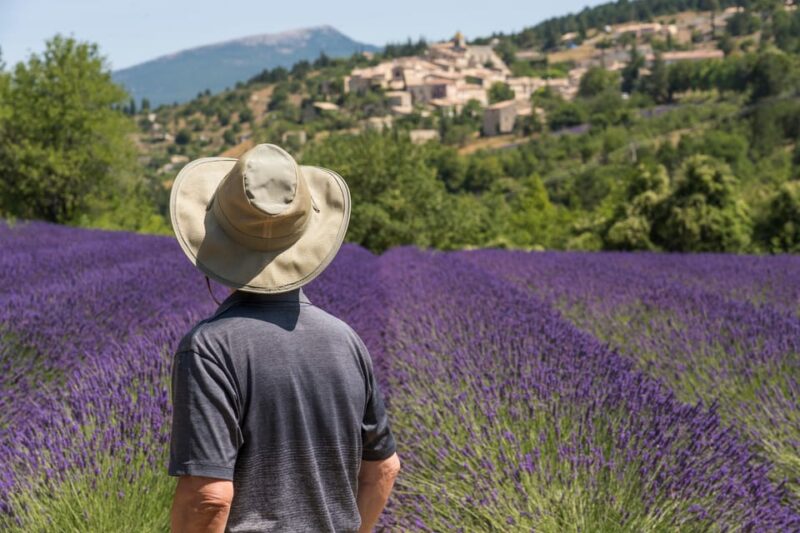 From Aix-en-Provence: Sault Lavender & Gordes Full-Day Tour - Itinerary Highlights