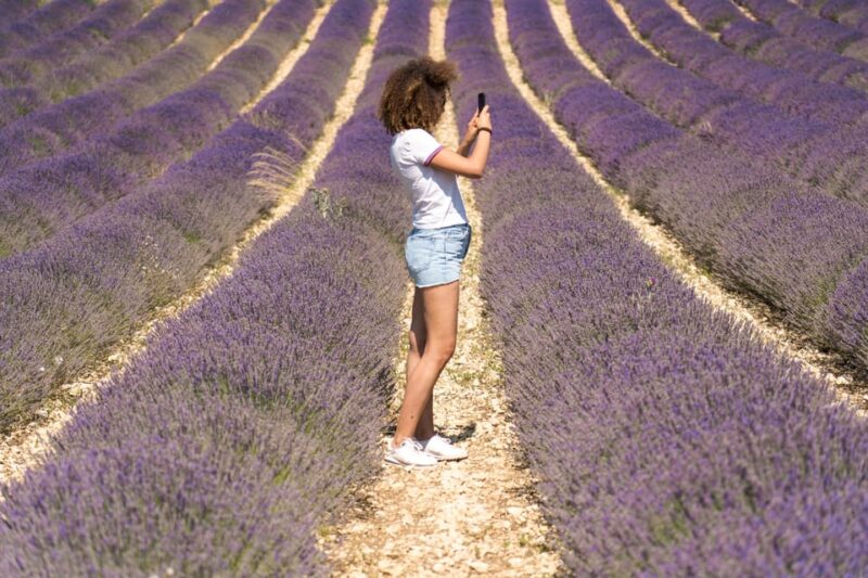 From Aix-en-Provence: Valensole Lavender Full-Day Tour - Inclusions and Exclusions