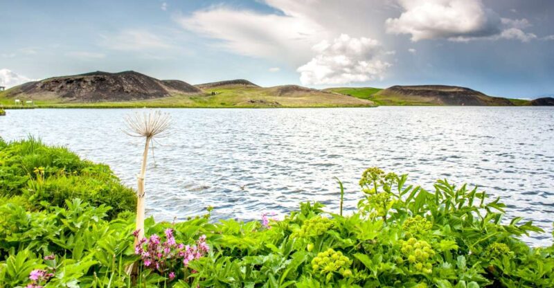 From Akureyri: Lake Mývatn Guided Tour With Lunch - Itinerary and Highlights