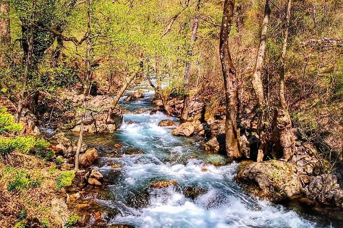 From Alanya & Side: Sapadere Canyon Tour - Activity Duration and Group Size