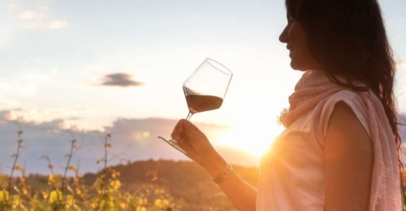 From Alba: Barolo & Barbaresco Wine Tasting Tour - Key Points