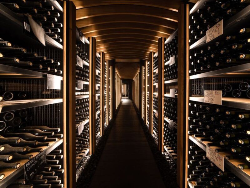 From Alba: Barolo & Barbaresco Wine Tasting Tour - Activity and Pricing