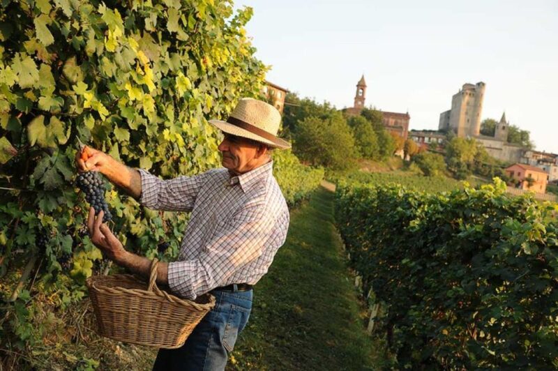 From Alba: Barolo & Barbaresco Wine Tasting Tour - Inclusions