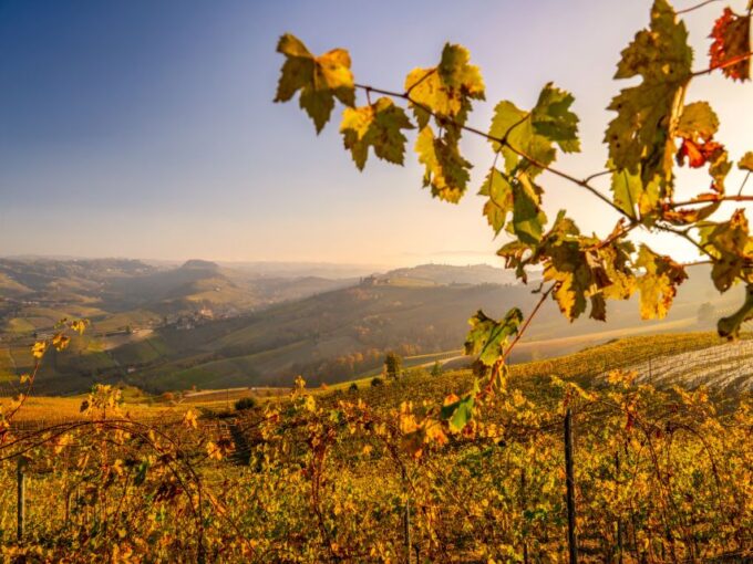 From Alba: Barolo & Barbaresco Wine Tasting Tour - Frequently Asked Questions