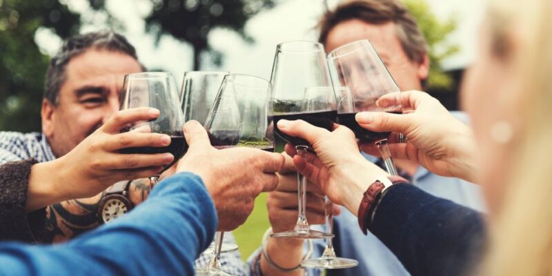 From Alba/Turin: Langhe Wine Day Trip With Tastings & Lunch - Pickup and Mobility