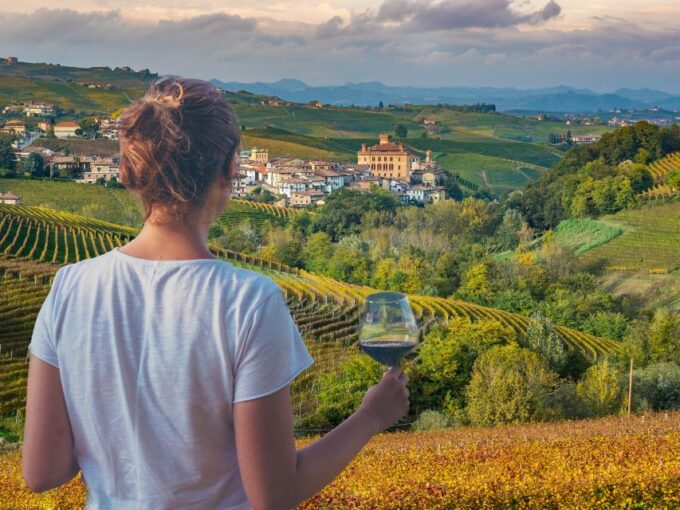 From Alba/Turin: Langhe Wine Day Trip With Tastings & Lunch - Wine Tasting Experiences