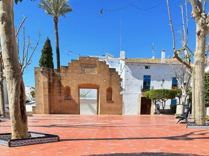 From Albir, Altea, Benidorm & Calpe: Coast & Caves Excursion - Transportation and Guide