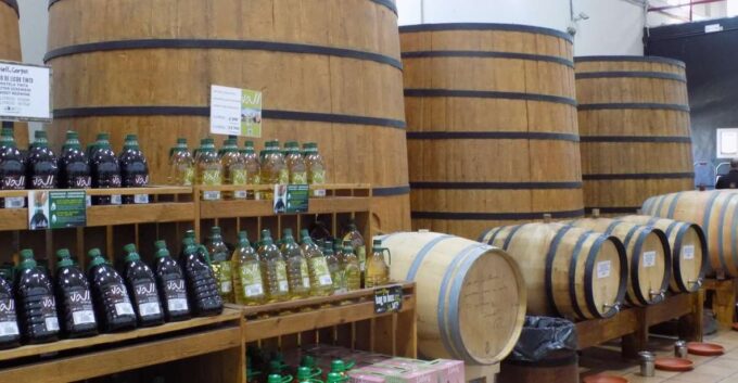 From Albir, Altea, Benidorm & Calpe: Jalón Valley Excursion - Frequently Asked Questions