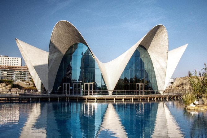From Albir, Altea, Benidorm & Calpe: Valencia City Excursion - Tour Duration and Pickup