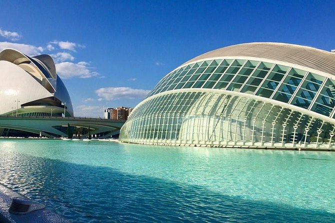 From Albir, Altea, Benidorm & Calpe: Valencia City Excursion - Independent Exploration in Valencia