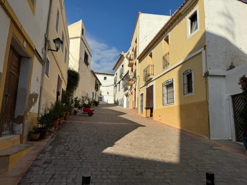 From Albir & Benidorm: Calpe Old Town and Port Day Trip - Discovering the Port Area