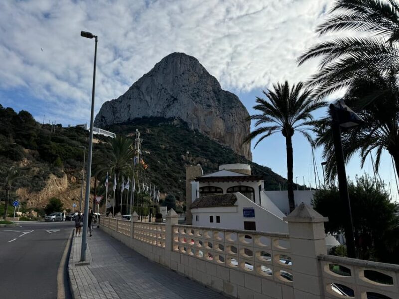 From Albir & Benidorm: Calpe Old Town and Port Day Trip - Gastronomy and Dining Options