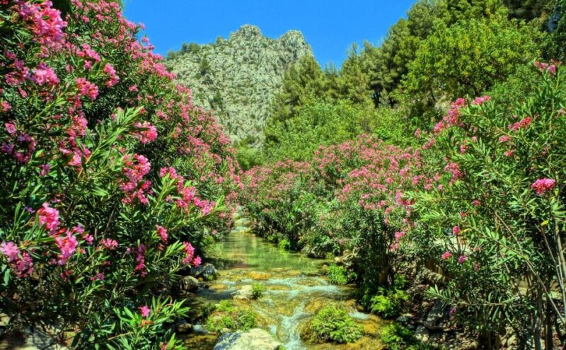 From Albir or Benidorm: Algar Waterfalls Day Trip - Free Time and Activities