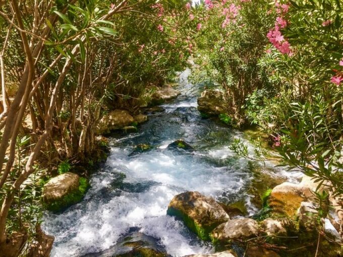 From Albir or Benidorm: Algar Waterfalls Day Trip - Food and Drink
