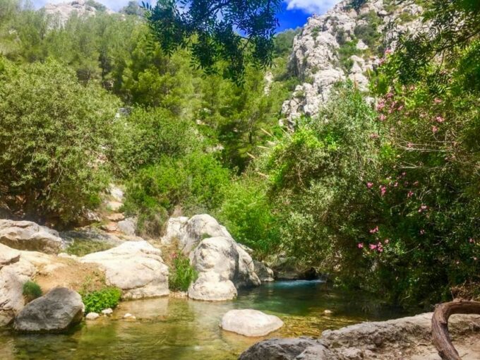 From Albir or Benidorm: Algar Waterfalls Day Trip - Customer Feedback