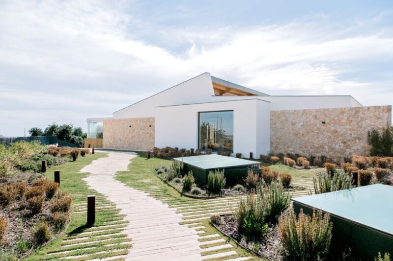 From Albufeira: 4x4 Off-Road Safari & Vineyard Wine Tasting - Experience Highlights