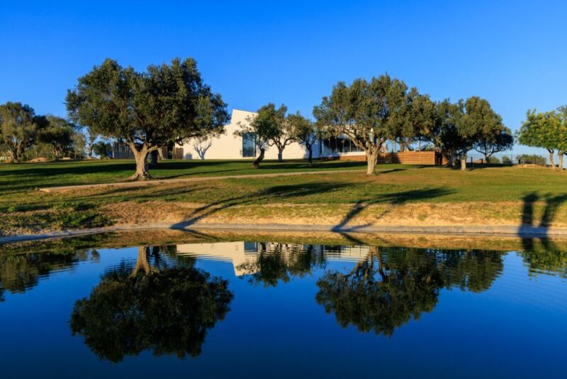 From Albufeira: 4x4 Off-Road Safari & Vineyard Wine Tasting - Customer Reviews and Ratings