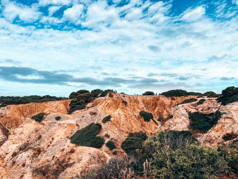 From Albufeira: 7 Hanging Valleys Guided Hiking Adventure - Experience and Features