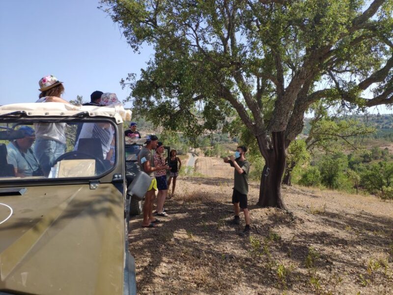 From Albufeira: Algarve Sunset Jeep Safari With Wine - Customer Reviews