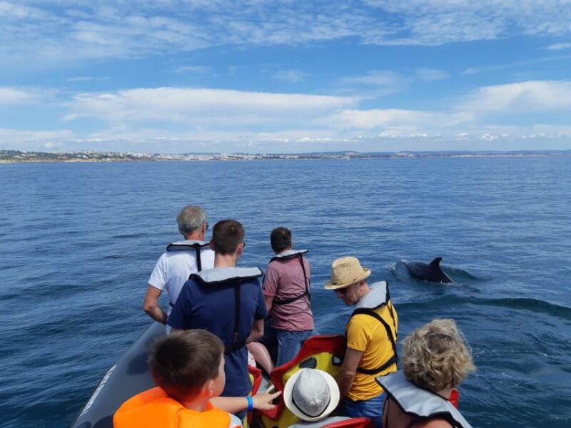 From Albufeira: Benagil Caves and Dolphins Guided Boat Tour - Visiting the Caves