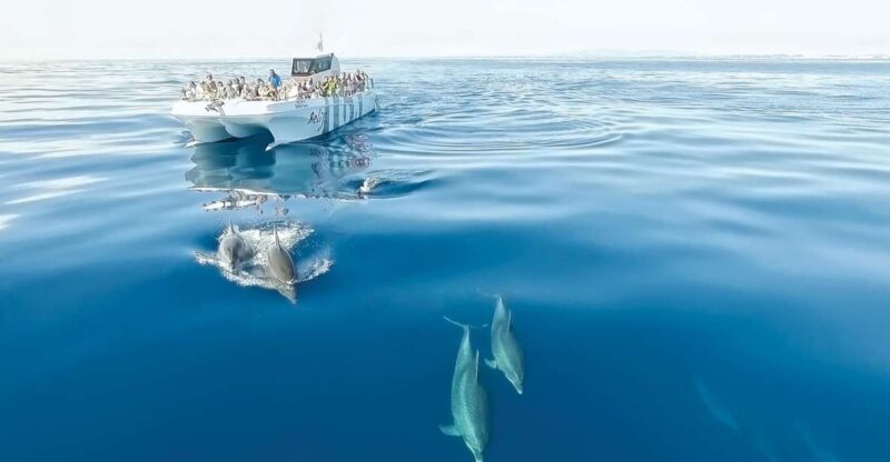 From Albufeira: Dolphins and Caves 2.5-Hour Boat Trip - Boat Details