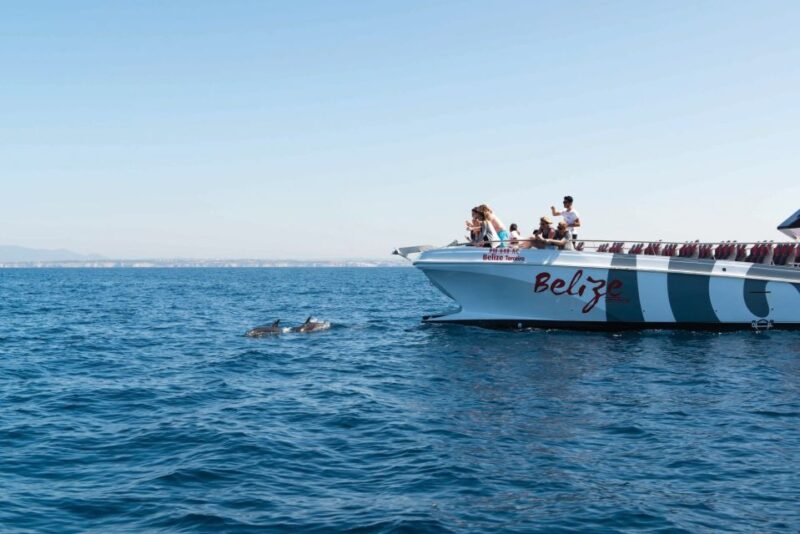 From Albufeira: Dolphins and Caves 2.5-Hour Boat Trip - Customer Reviews