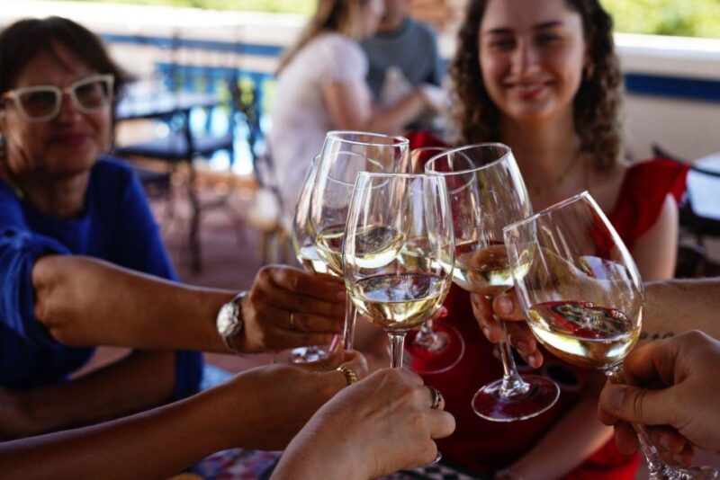 From Albufeira: Full-Day Wine Tasting Tour With a Guide - Customer Feedback