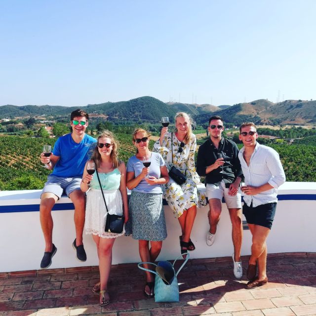 From Albufeira: Full-Day Wine Tasting Tour With a Guide - Winery Visits