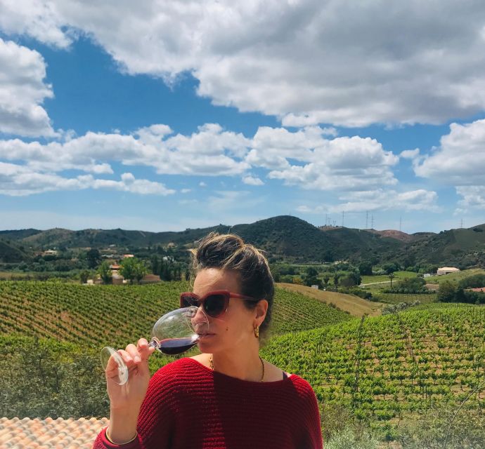 From Albufeira: Full-Day Wine Tasting Tour With a Guide - Pricing and Booking