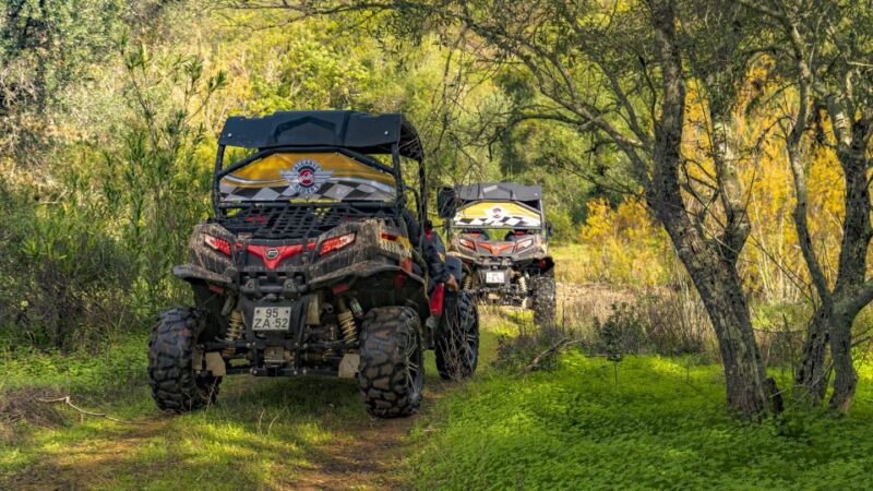 From Albufeira: Half-Day Buggy Adventure Tour - Safety Precautions