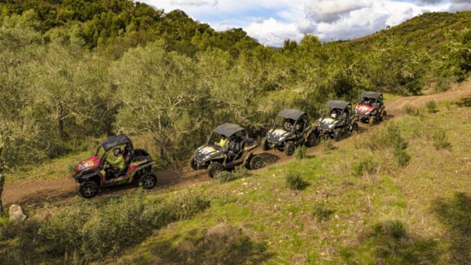 From Albufeira: Half-Day Buggy Adventure Tour - Tour Requirements