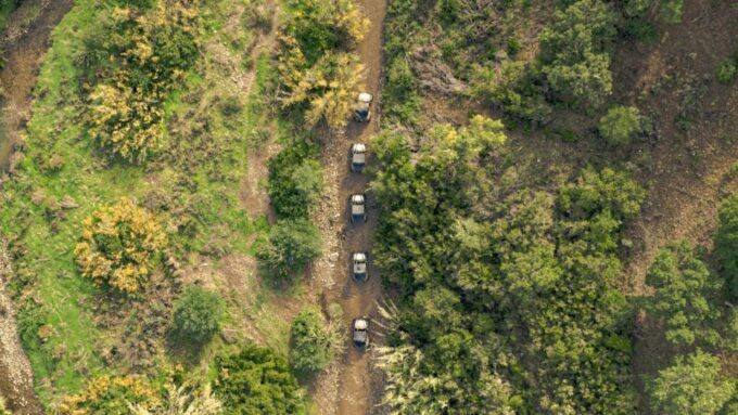 From Albufeira: Half-Day Buggy Adventure Tour - Frequently Asked Questions