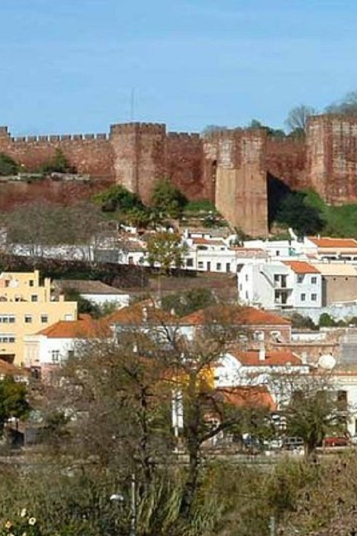 From Albufeira: Half-Day Silves & Monchique Highlights Tour - Customer Experience and Reviews