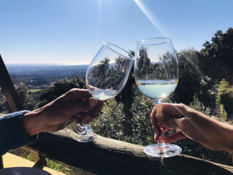 From Albufeira: Half-Day Winery Tour and Silves - Highlights of the Tour