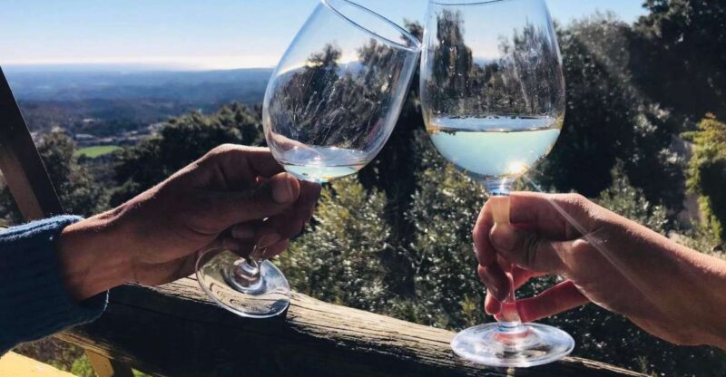 From Albufeira: Half-Day Winery Tour and Silves - Itinerary and Details