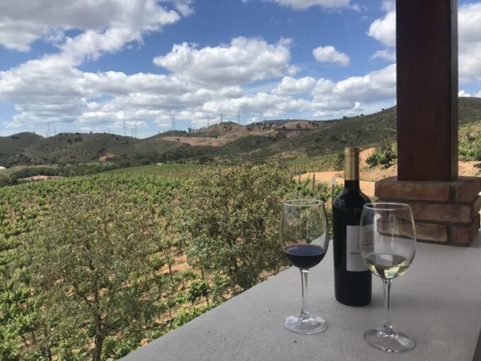 From Albufeira: Half-Day Winery Tour and Silves - Frequently Asked Questions